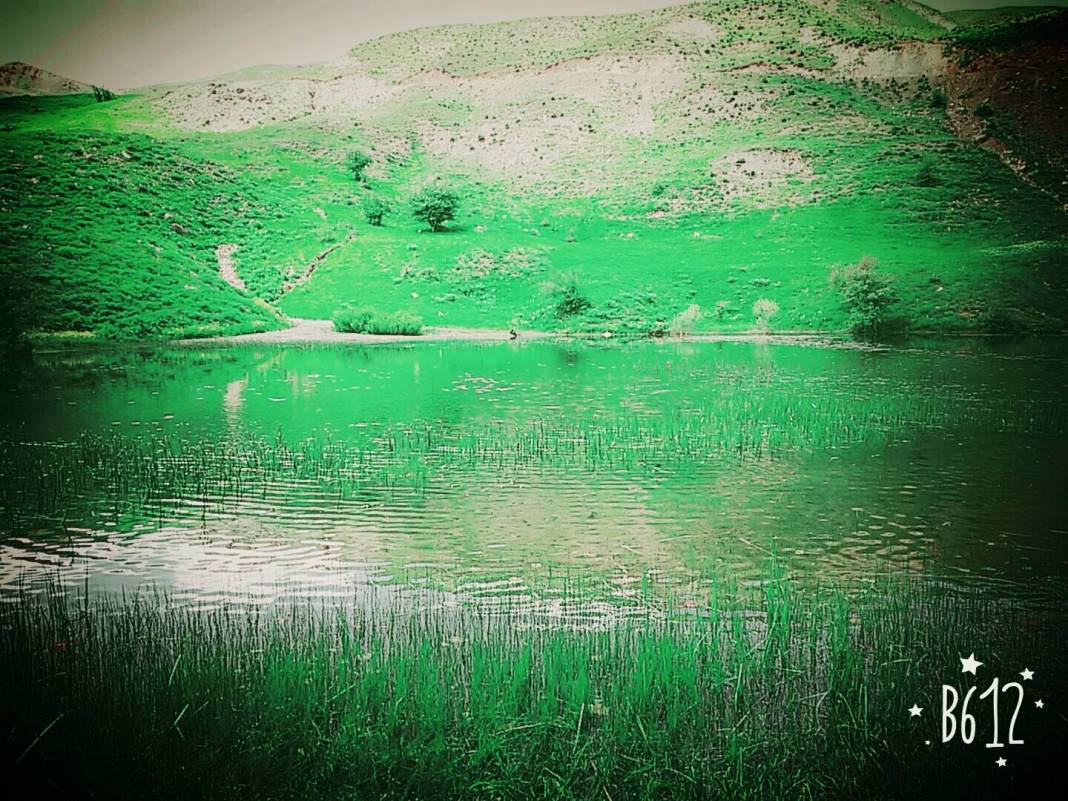 Yüksekova Salkımlı Köyü Resimleri 1