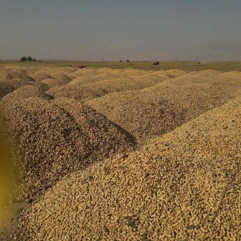 Silopi Buğdaylı Köyü Resimleri 3