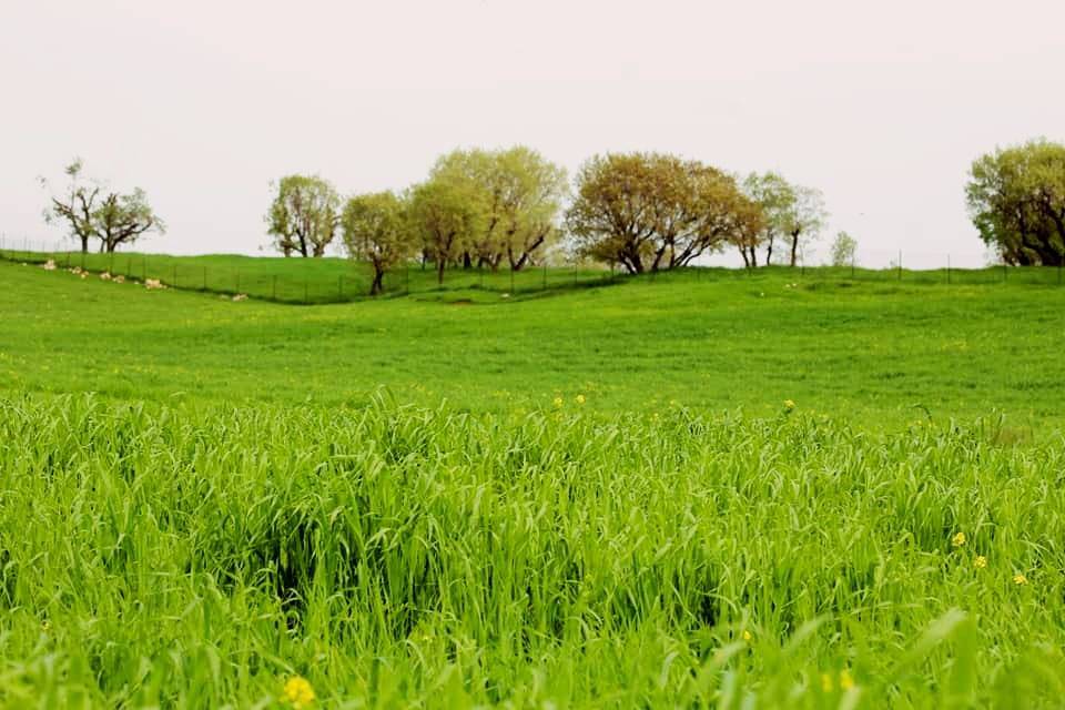 Silopi Dedeler Köyü Resimleri 1
