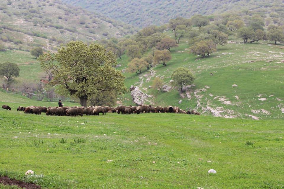 Silopi Dedeler Köyü Resimleri 2