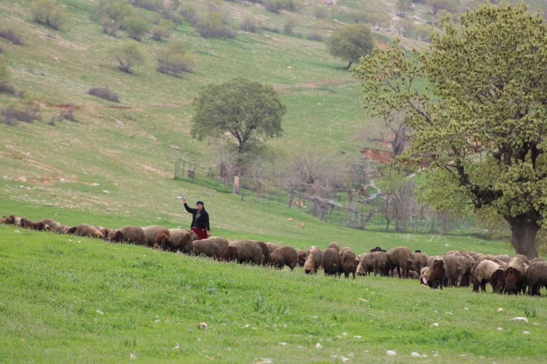 Silopi Dedeler Köyü Resimleri 4