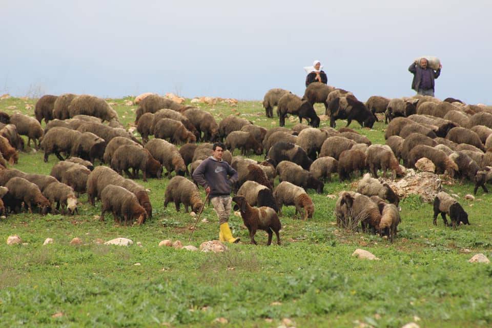 Silopi Dedeler Köyü Resimleri 5