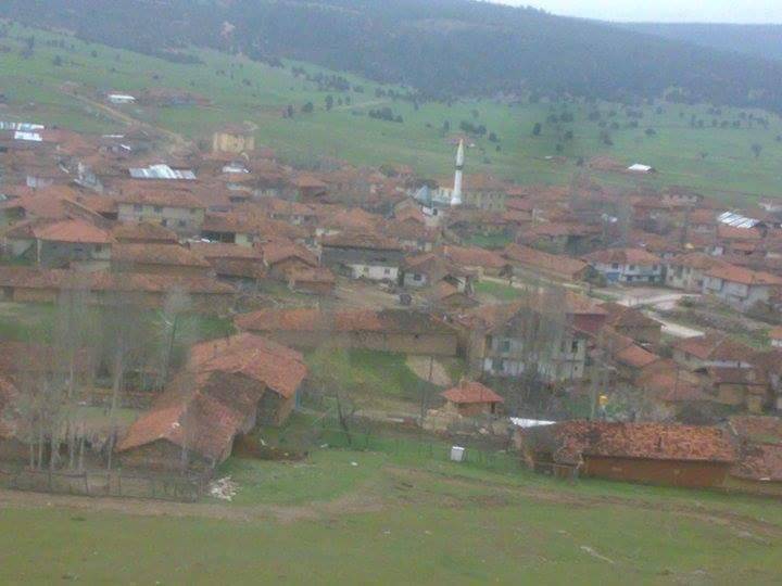 Altıntaş Alıncık Köyü Resimleri 1