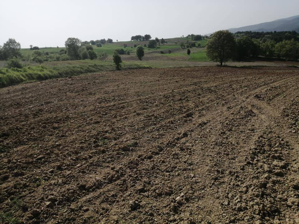 Yenipazar Sorguncukahiler Köyü Resimleri 2