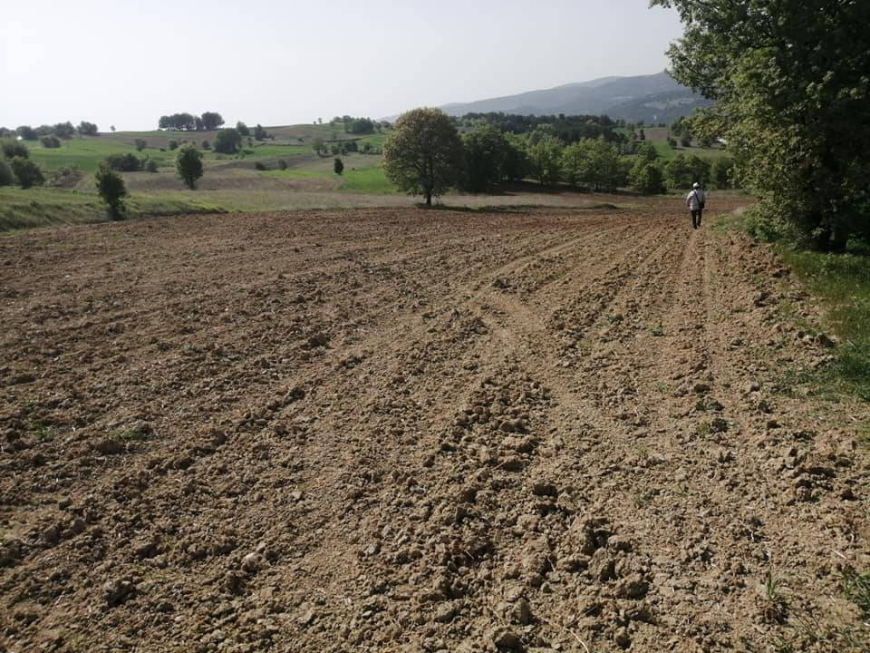 Yenipazar Sorguncukahiler Köyü Resimleri 3