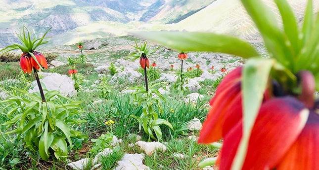 Hakkari Aksu Köyü Resimleri 1
