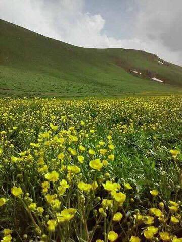 Hakkari Bağışlı Köyü Resimleri 2