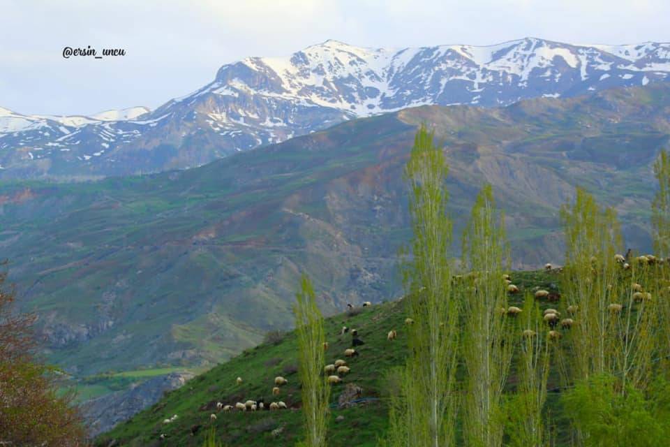 Hakkari Bağışlı Köyü Resimleri 4
