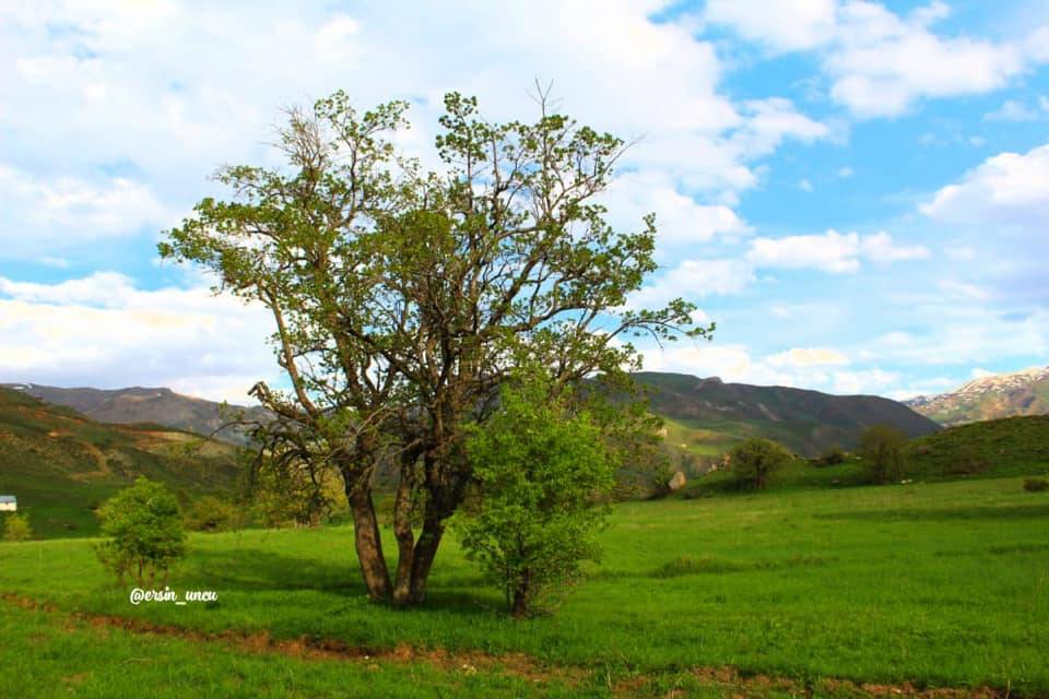 Hakkari Bağışlı Köyü Resimleri 5