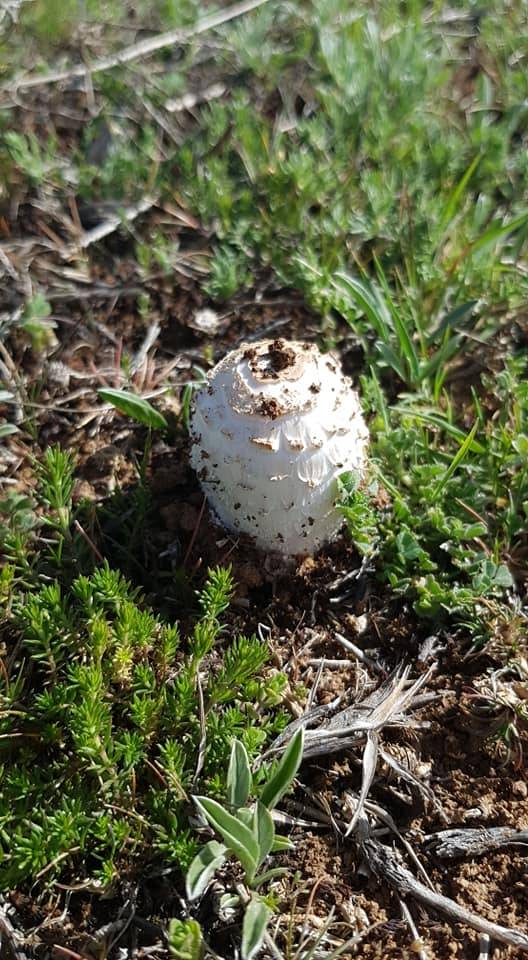Altıntaş Aykırıkçı Köyü Resimleri 1