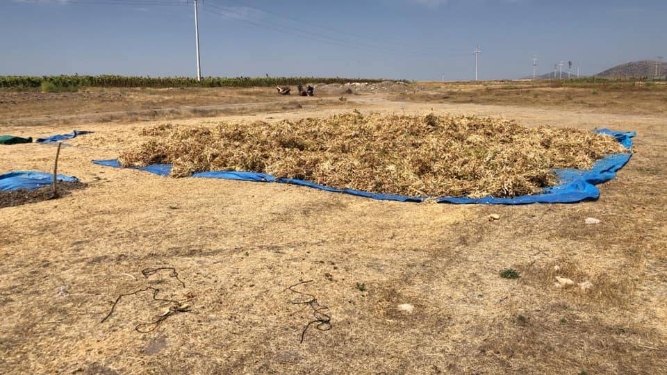 Altıntaş Aykırıkçı Köyü Resimleri 8