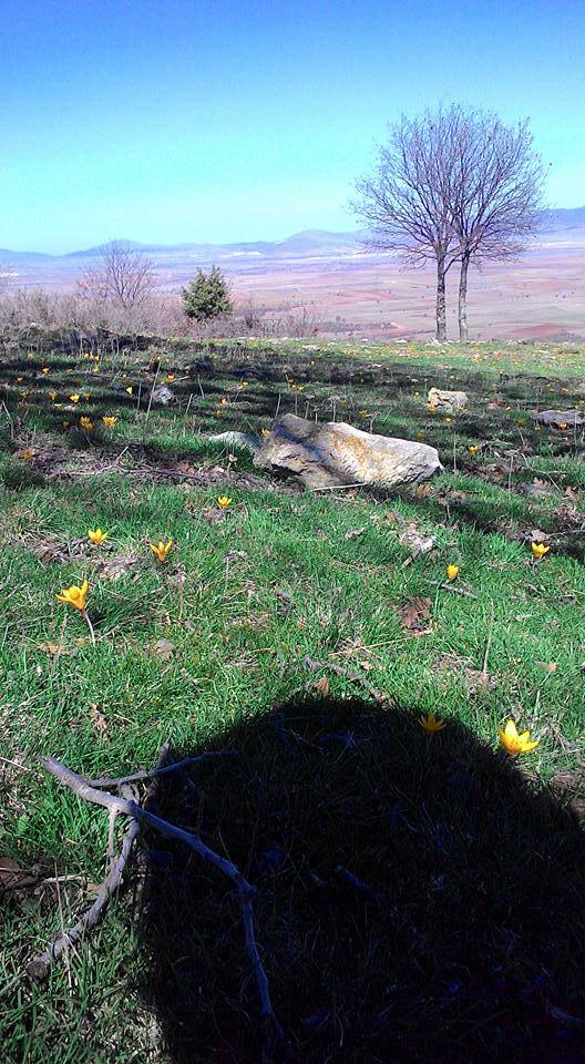 Altıntaş Beşkarış Köyü Resimleri 4