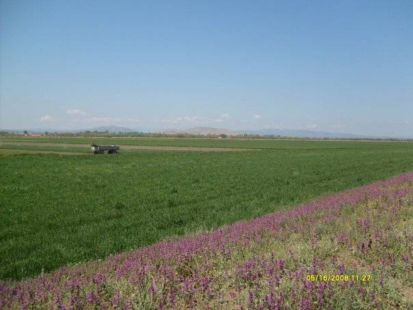 Altıntaş Çakırsaz Köyü Resimleri 7