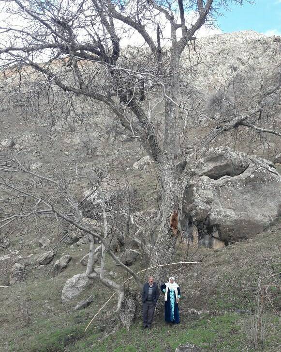 Hakkari Elmacık Köyü Resimleri 5
