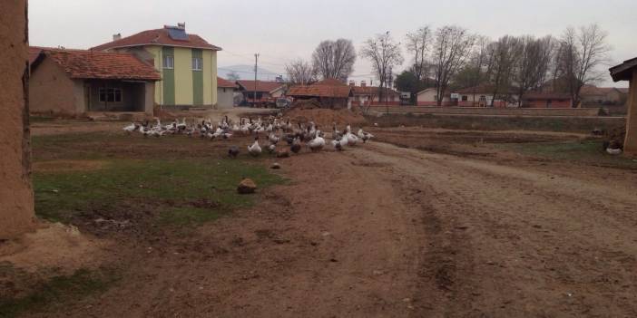 Altıntaş Eymir Köyü Resimleri