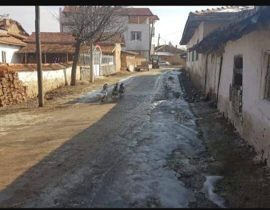 Altıntaş Gecek Köyü Resimleri 1