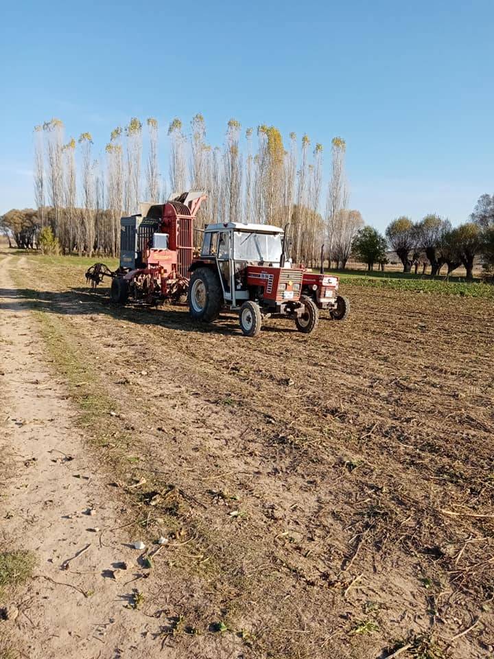 Altıntaş Gecek Köyü Resimleri 2