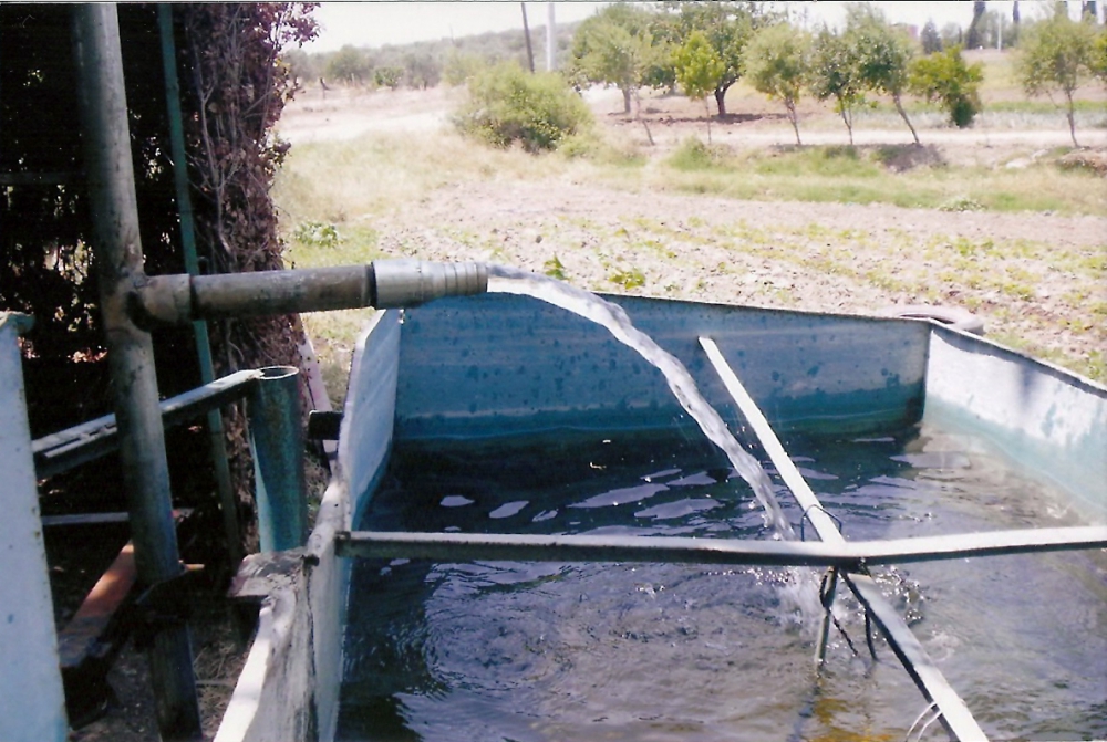 Akhisar Gökçeahmet Köyü Resimleri 12