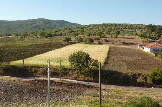 Akhisar Gökçeahmet Köyü Resimleri 5