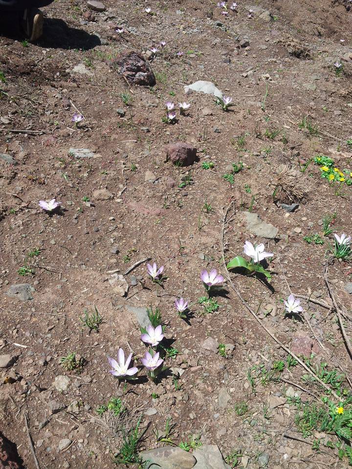 Hakkari Işık Köyü  Resimleri 1