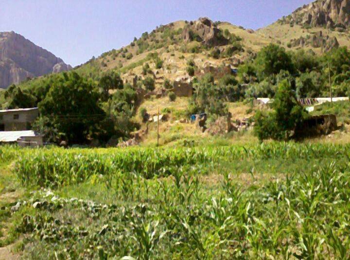 Hakkari Kavaklı Köyü Resimleri 2