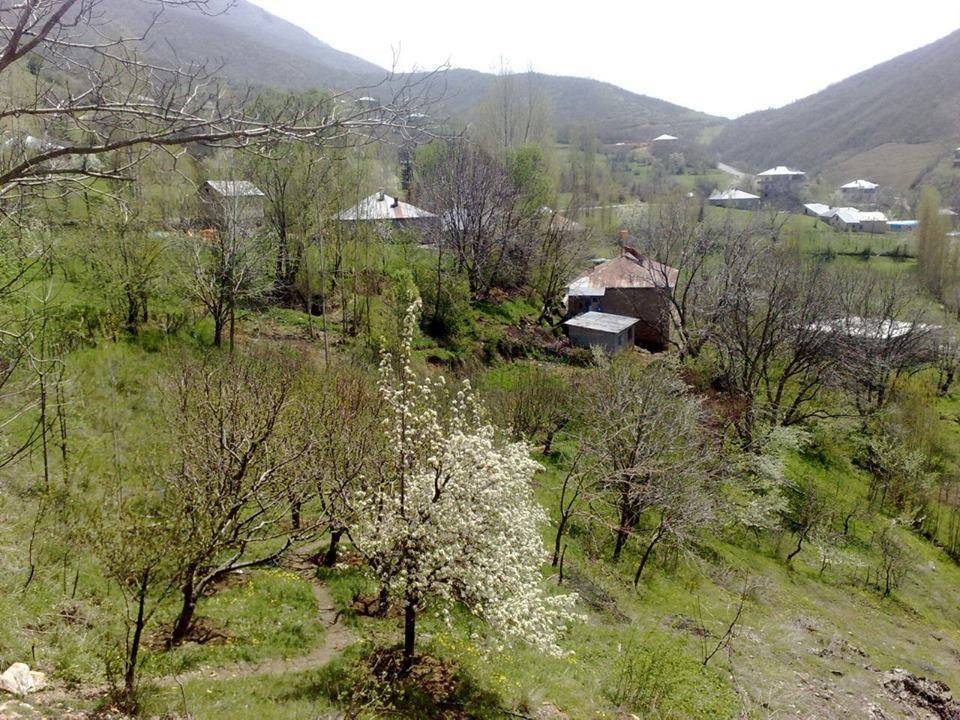 Hakkari Olgunlar Köyü  Resimleri 2