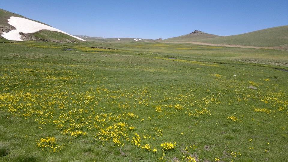 Hakkari Ördekli Köyü Resimleri 1