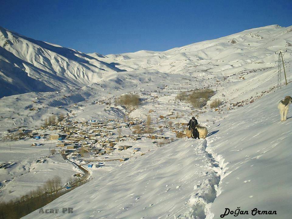 Hakkari Ördekli Köyü Resimleri 4