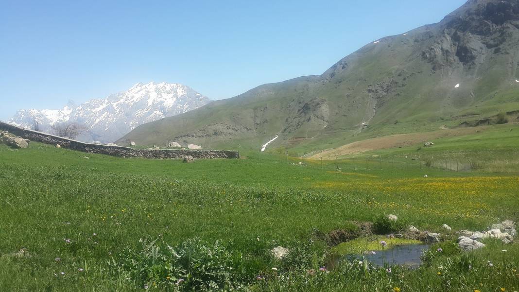 Hakkari Ördekli Köyü Resimleri 7