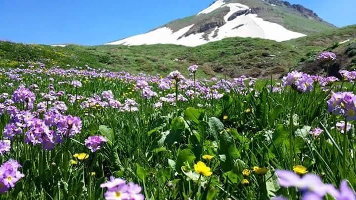 Uludere Akduman Köyü Resimleri 1