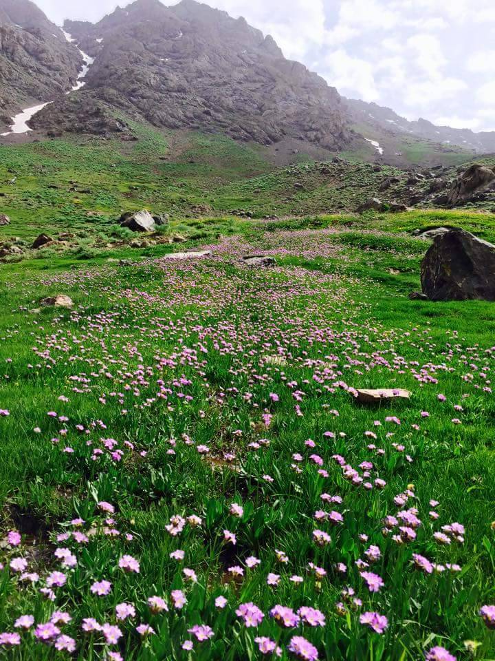 Uludere Akduman Köyü Resimleri 5