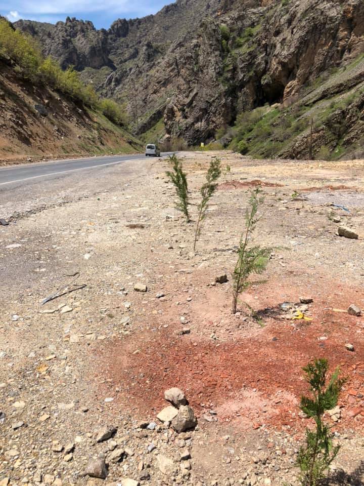 Uludere İnceler Köyü Resimleri 4