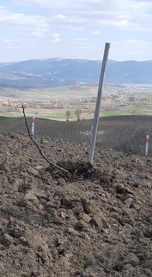 Yenipazar Tohumlar Köyü Resimleri 3