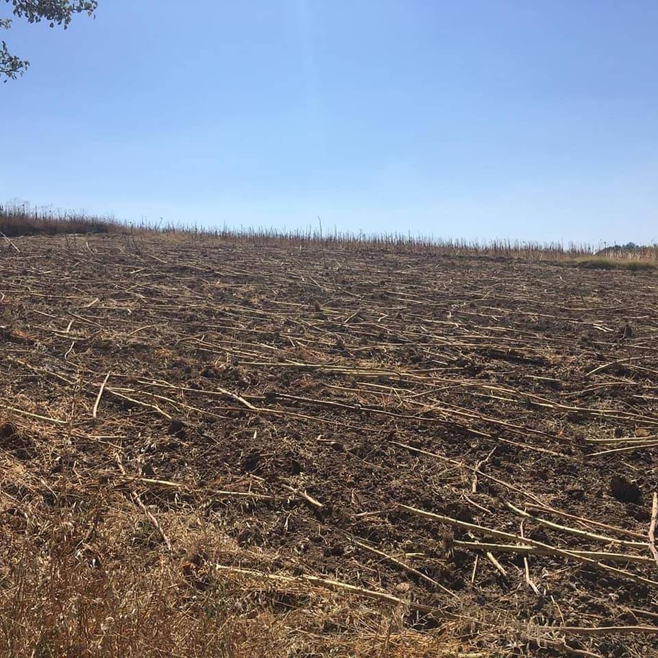 Yenipazar Tohumlar Köyü Resimleri 7