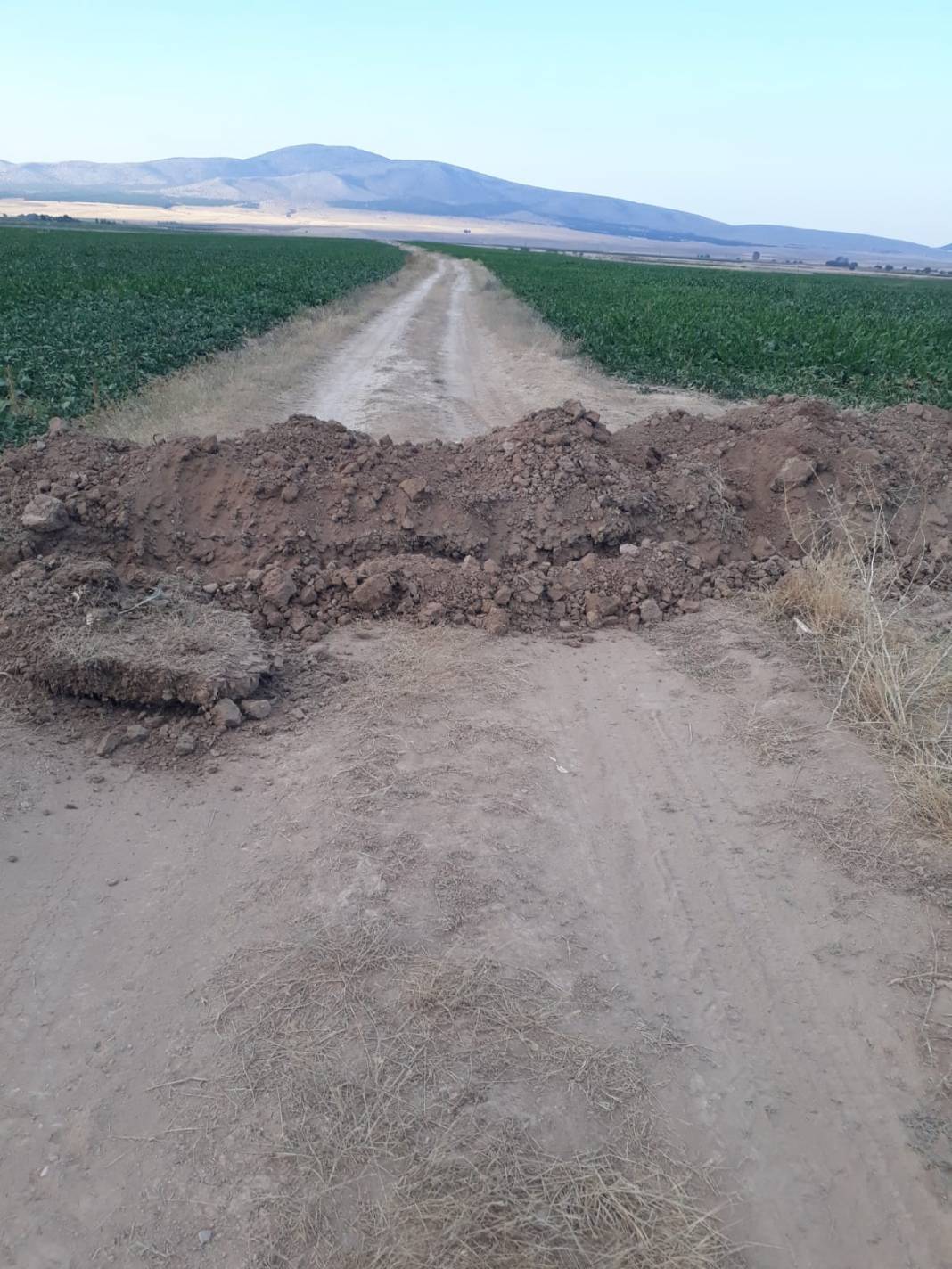 Altıntaş Gökçeler Köyü Resimleri 3