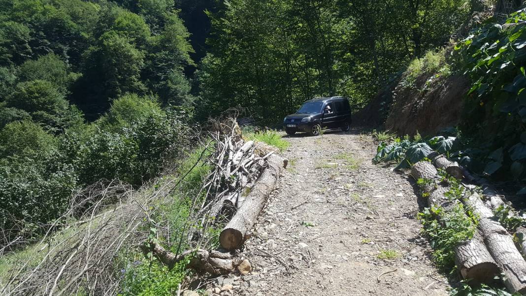 Altıntaş Işıklar Köyü Resimleri 5