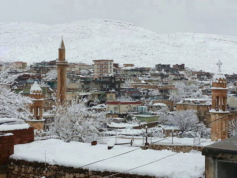 Dargeçit Yılmaz Köyü Resimleri 1