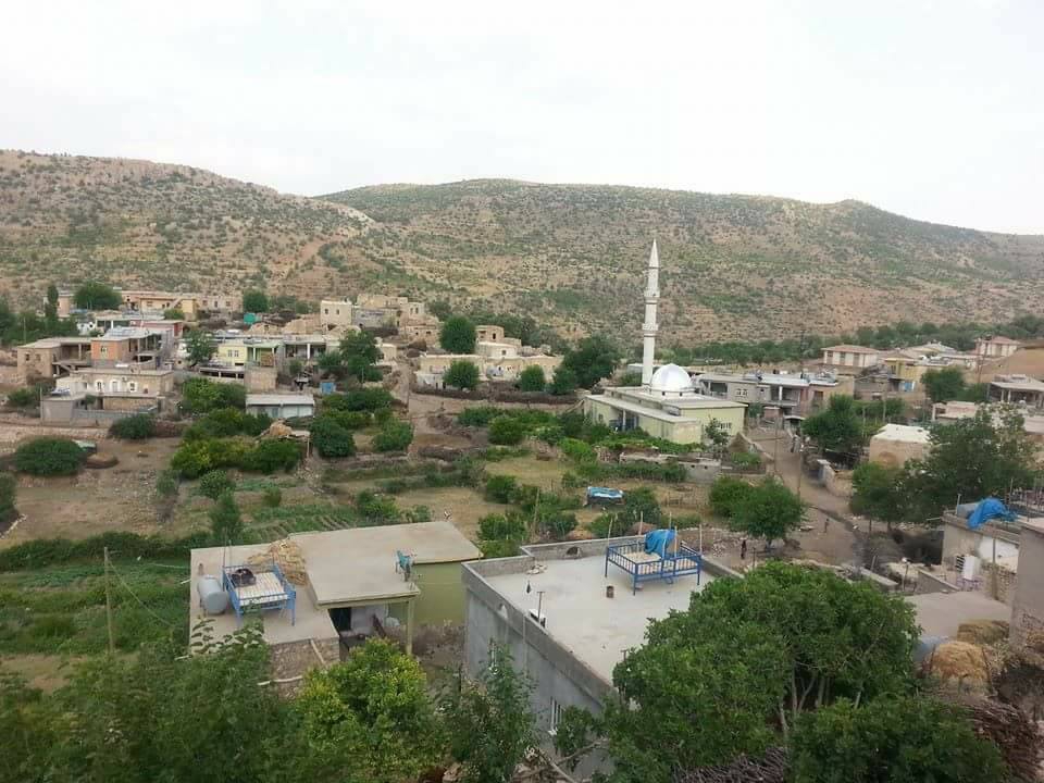 Dargeçit Yılmaz Köyü Resimleri 10