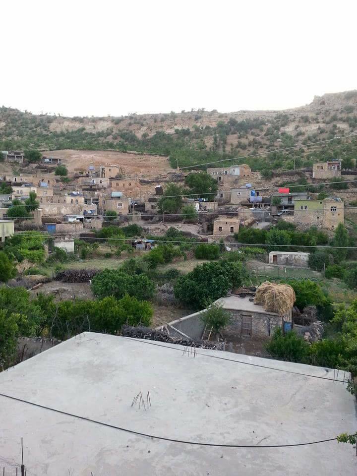 Dargeçit Yılmaz Köyü Resimleri 11