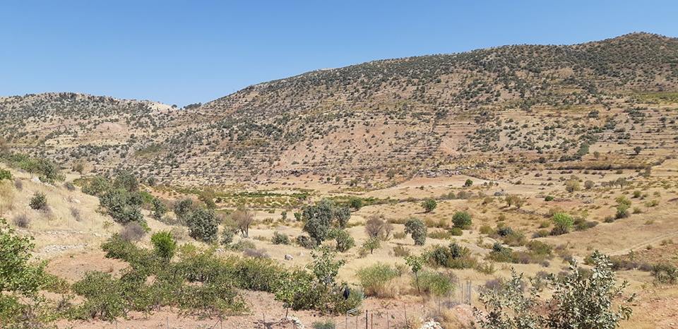 Dargeçit Yılmaz Köyü Resimleri 14