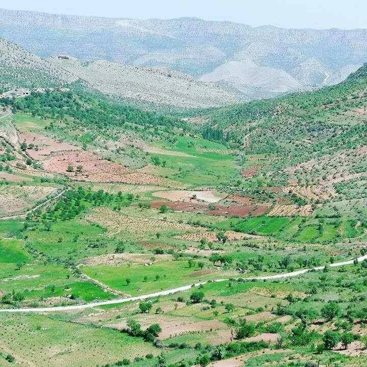 Dargeçit Yılmaz Köyü Resimleri 6