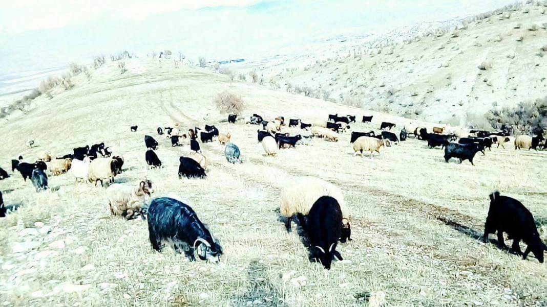 Şırnak İkizce Köyü Resimleri 3