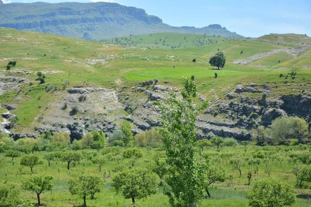 Şırnak İkizce Köyü Resimleri 4
