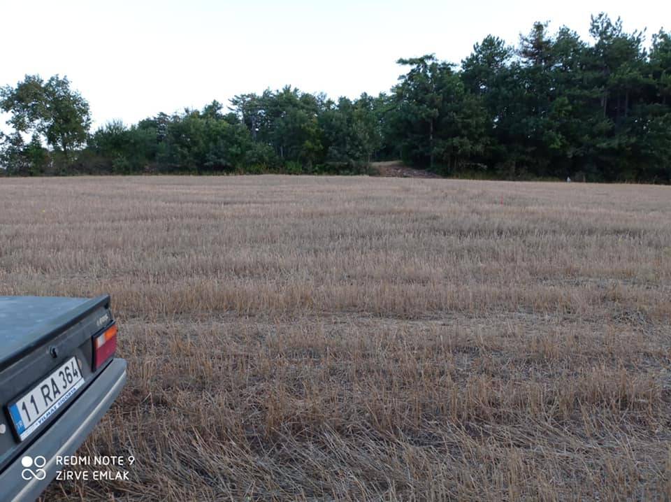 Bilecik Okluca Köyü Resimleri 5