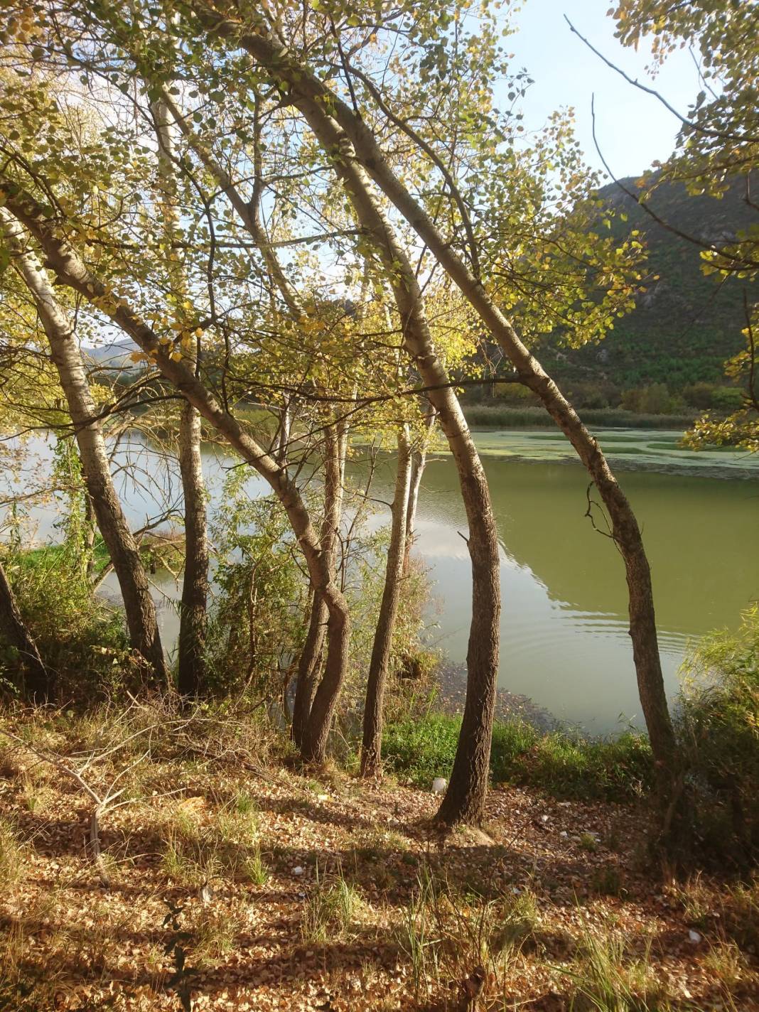 Bilecik Selbükü Köyü Resimleri 10