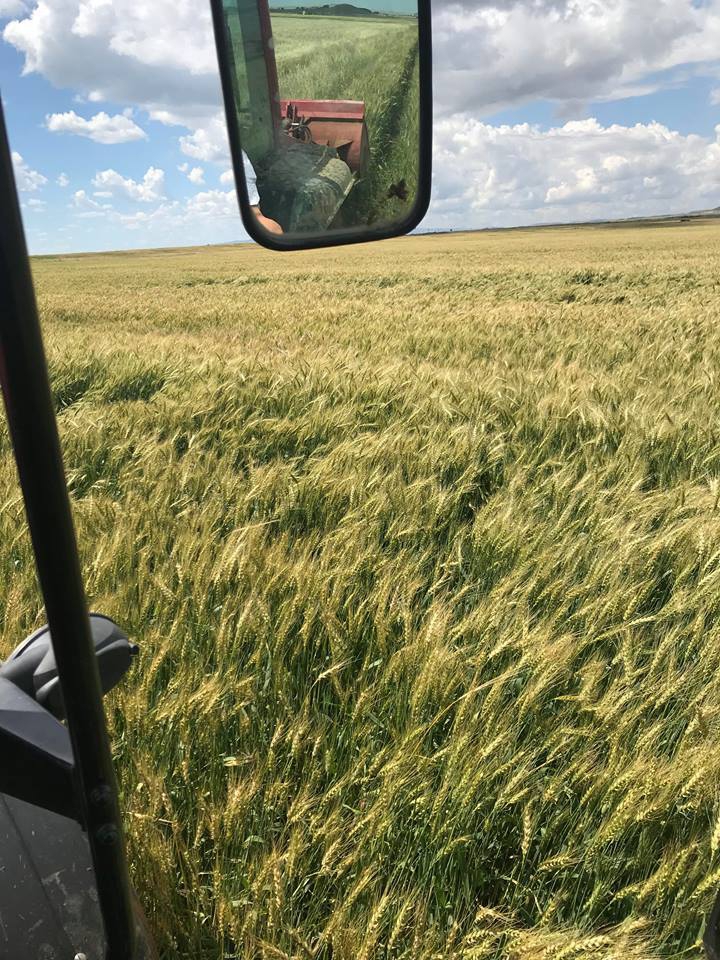 Derik Adakent Köyü Resimleri 7