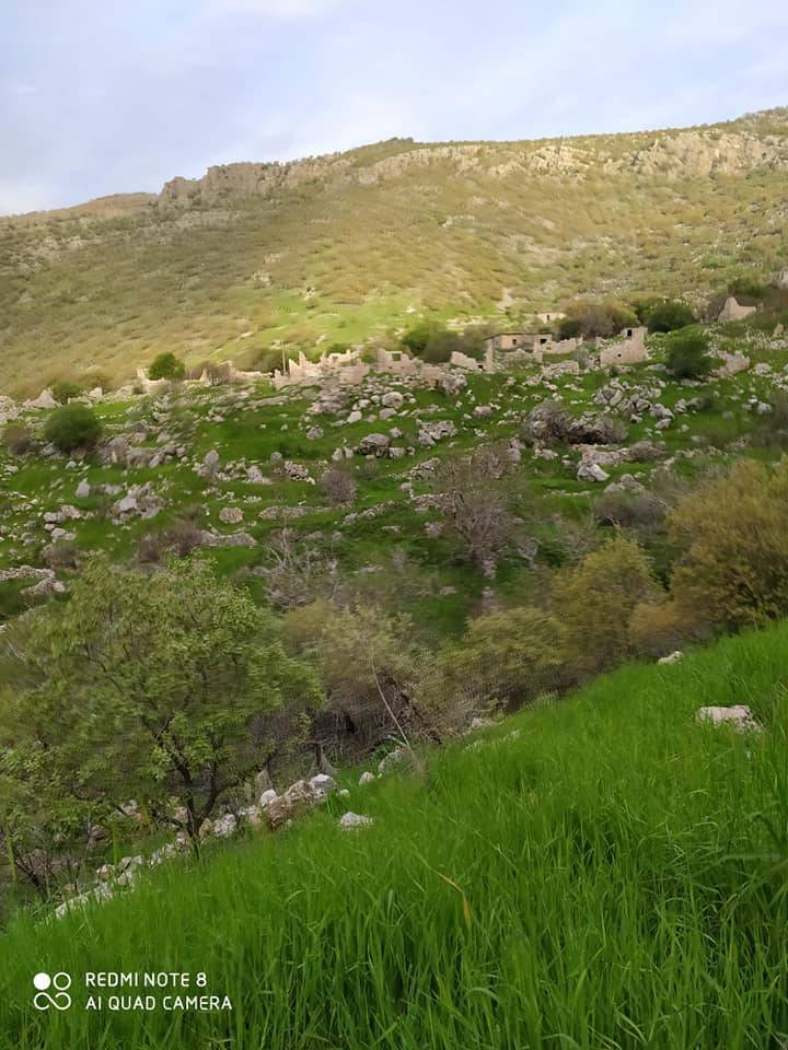 Şırnak Kayaboyun Köyü Resimleri 10