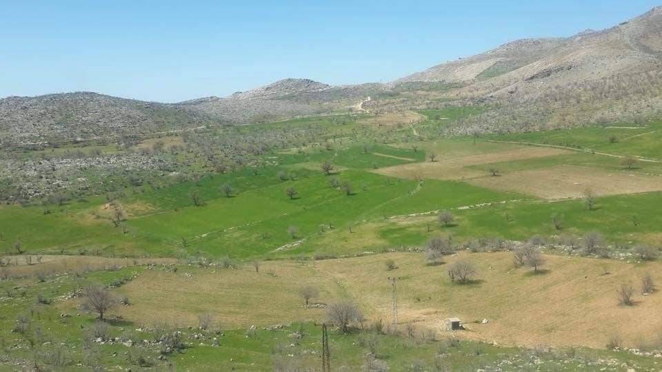 Şırnak Kayaboyun Köyü Resimleri 11