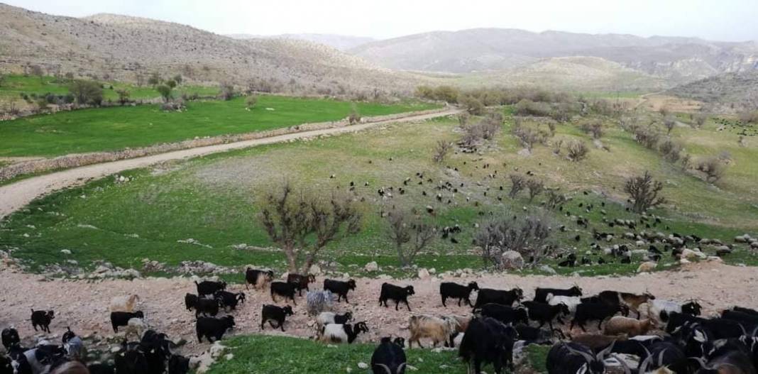 Şırnak Kayaboyun Köyü Resimleri 12