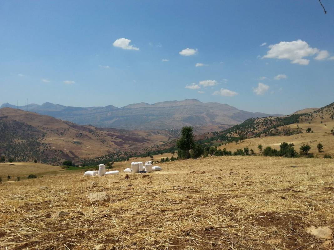 Şırnak Yeniaslanbaşar Köyü Resimleri 2